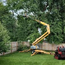  , USA Tree Care Services Pros